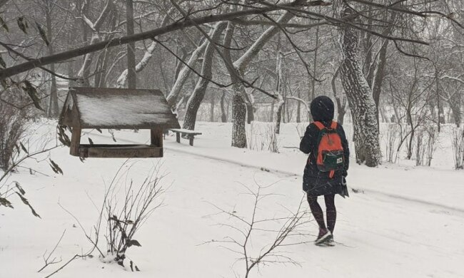 Школярка, фото: Hyser