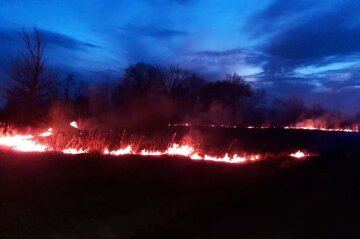 Масштабные пожары охватили Днепр и область: срочное обращение спасателей и кадры ЧП