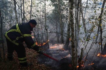 Пожежа у Київській області