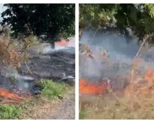 "Створює велику проблему": у Харківській області спалахнула масштабна пожежа