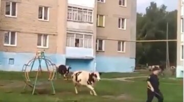 В России коровы обратили в бегство полицейских, кадры позора: "Когда даже скотина понимает"