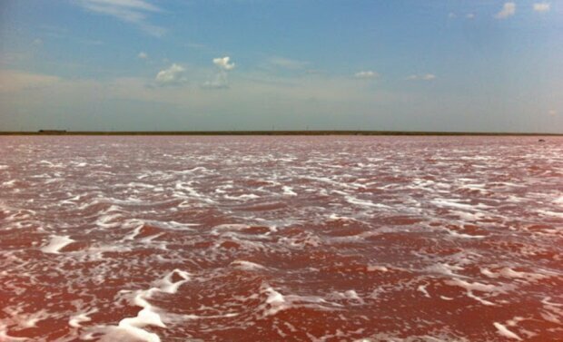 - В Україні виявили цілюще озеро (Politeka) - rai.ua