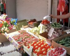 Дефицит овощей в Винницкой области