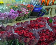 Подорожчання квітів в Харкові, 8 березня