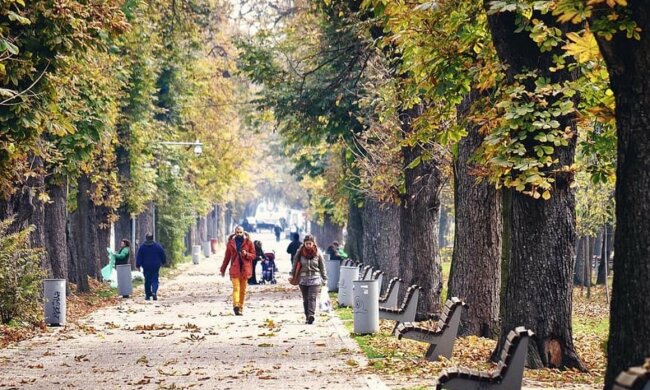 осень, люди, погода