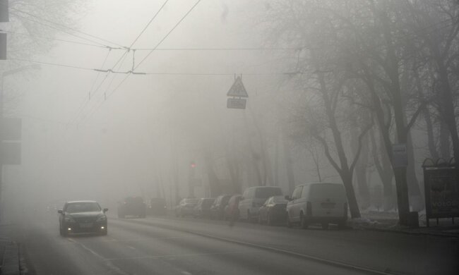 туман, погода