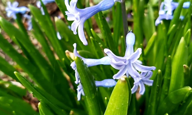 Прогноз погоди з 4 по 10 березня у Запоріжжі