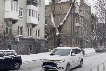 сніг, зима, погода, поліція