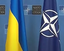 "Мы - с Украиной": над киберцентром НАТО взвился украинский флаг, что это значит