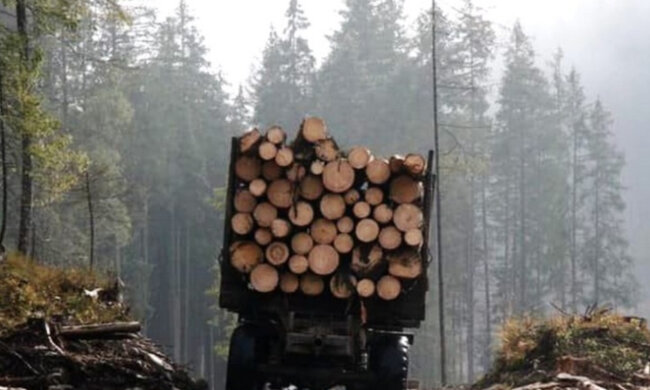 "Сходіть до партійців від Порошенка і Зеленського": українець назвав винуватців в потопах по всій країні