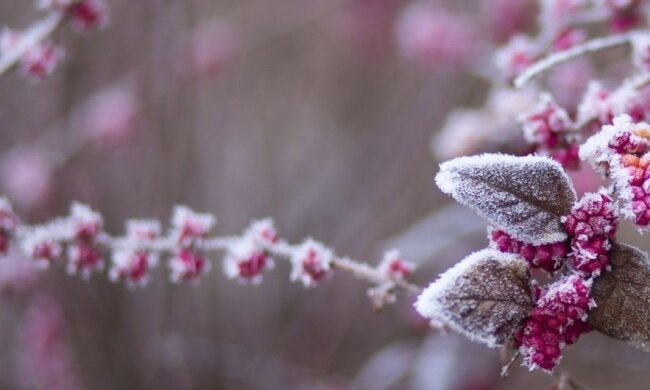 Погода в Украине 18 апреля