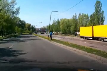 По Киеву бегает рогатый зверь, видео: "Прыгает под авто"