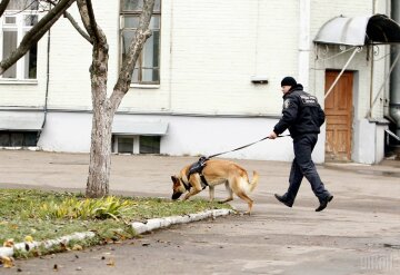 кинолог полиция собака
