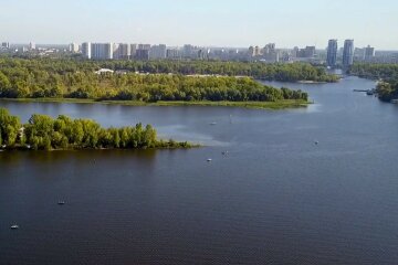 "Коктейль из всей таблицы Менделеева":  существа заполонили реку Днепр
