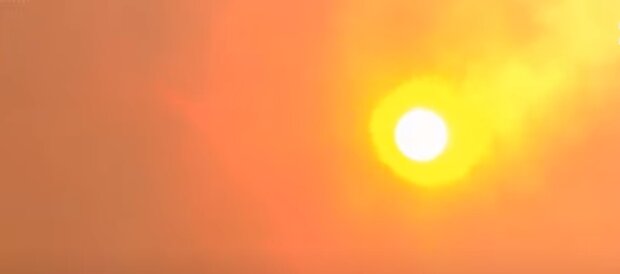  ���������� ���� ������ ������� ������ ������� ��������� ����������� 