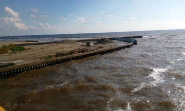 "Багато людей з хворобою Паркінсона": одеситів попередили про серйозну небезпеку в морі, фото