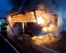 Пасажирський автобус спалахнув під час руху: кадри НП на Закарпатті