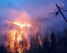 У рф вигорає дотла природний заповідник, гасити пожежу нікому: з'явилося відео