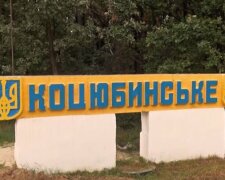 Скандал в Коцюбинском: неадекват избил волонтерку (фото)