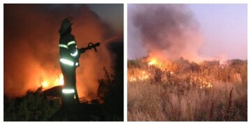 Масштабна пожежа спалахнула на Харківщині, є жертви: перші деталі