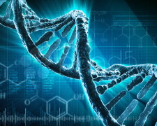 Учёные смогут извлечь «воспоминания» из клеток ДНК организма человека