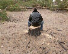 Уничтожение деревьев в Одессе, полицию подняли по тревоге: кадры варварства