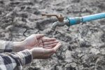 Экокатастрофа в Крыму: водохранилища обмелели, река на грани исчезновения, кадры