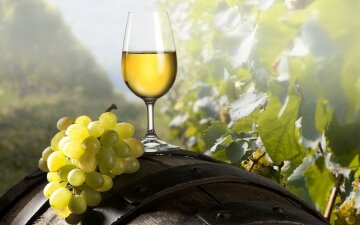 Виробництво вина в Україні рекордно впало: названо причини