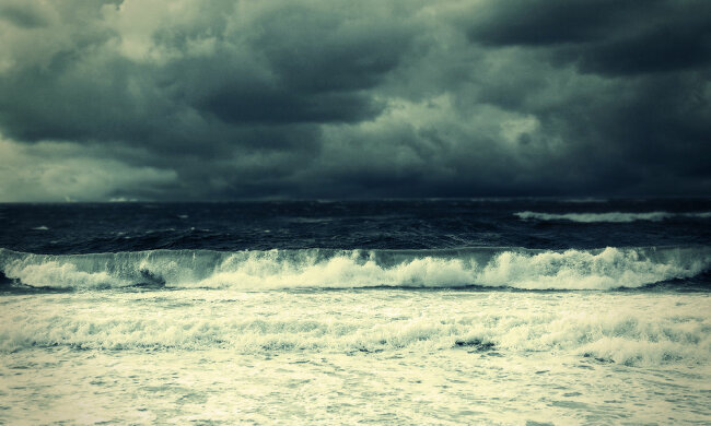 Азовське море відступило і викинуло живих істот: моторошні кадри