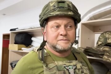 Залужный, Валерий Залужный