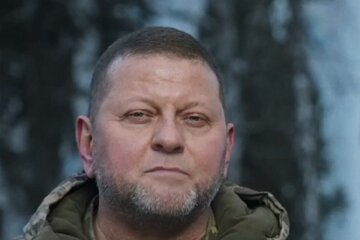 Валерий Залужный