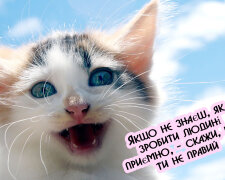happy-cat-smiling-1__880