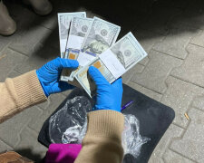 Экс-прокурор Одесской области способствовал задержанию мошенницы со "связями в прокуратуре"