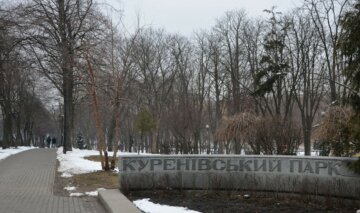 Сеть взбудоражил поступок киевлянок в популярном парке: все на глазах у детей, фото