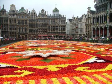 aviatour amsterdam — brussels flower carpet in brussels