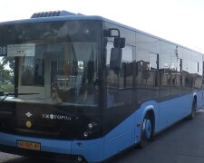 Нова система оплати за проїзд в Ужгороді