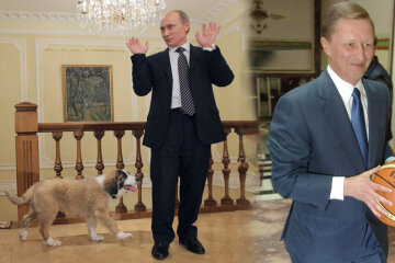 ВайноПутинИванов