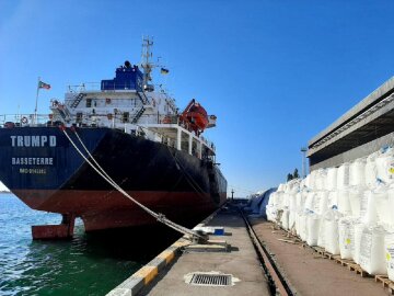 "Зберігають як у Бейруті": у порту під Одесою виявили вибухонебезпечний вантаж, фото