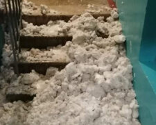 Сильный снег обвалил крышу жилого дома в Кривом Роге, видео: замело половину дома