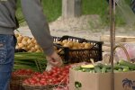Дефицит овощей в Днепропетровской области