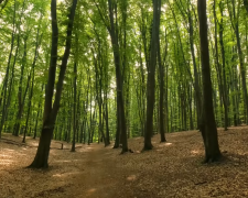 Прогноз погоди на тиждень з 16 до 22 квітня в Полтавській області