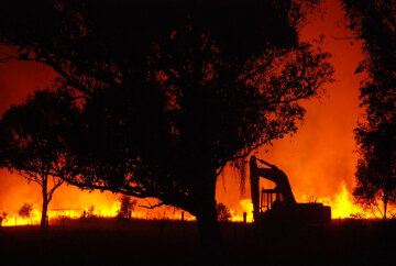 Death Toll Nears 200 As Bushfires Continue To Blaze Through Victoria