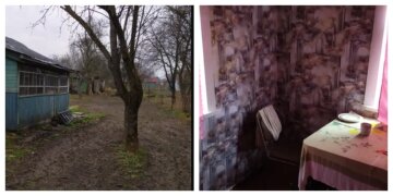 Будинок із великим садом продають в Україні за 20 тис. гривень: як він виглядає і що в ньому є