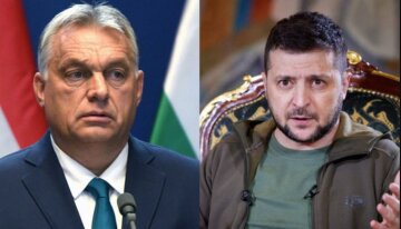 Зеленский поблагодарил Орбана: "Договорились развивать сотрудничество в..."