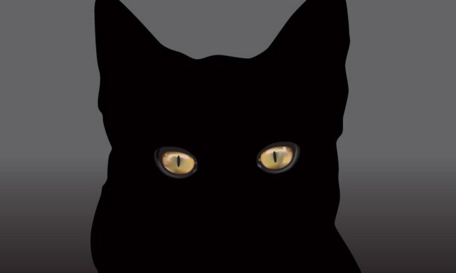 fah_solntse_svetit_v_glaza