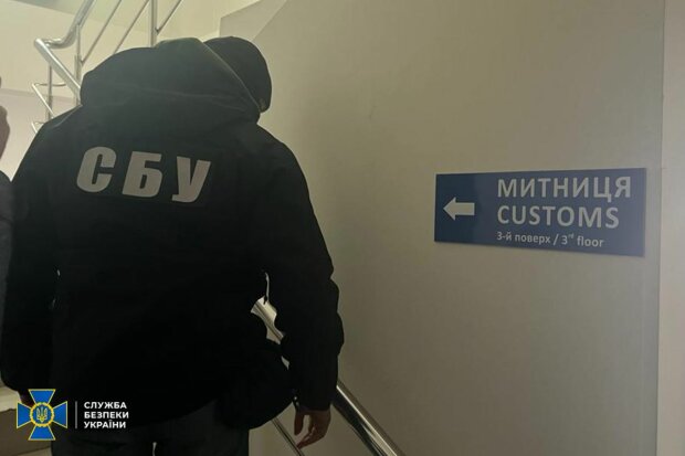Блокували експорт зерна та вимагали гроші у ЗСУшника: митники наробили лиха у трьох областях, фото