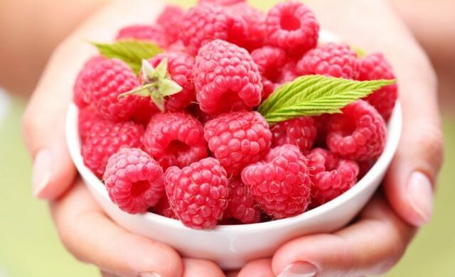 малина ягода