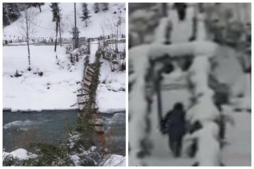 На Закарпатті обвалився підвісний міст, діти впали вниз: у мережі опублікували відео