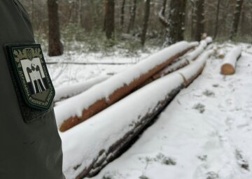 Госэкоинспекция