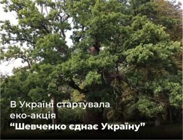 Еко-акція "Шевченко об'єднує Україну": Держекоінспекція закликає підтримати висадку дубів у національних парках та заповідниках